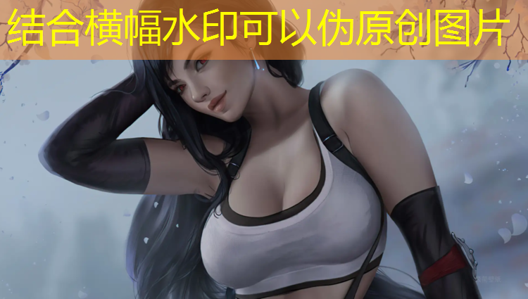 高达3d格斗电脑游戏